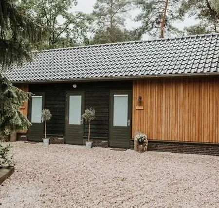 Forrest * Ermelo