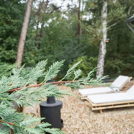 Vakantiehuis Forrest