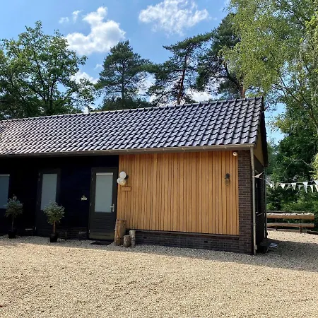 Forrest Ermelo