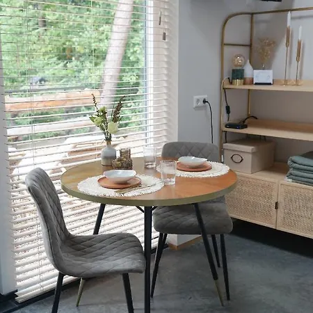 Vakantiehuis Forrest Ermelo