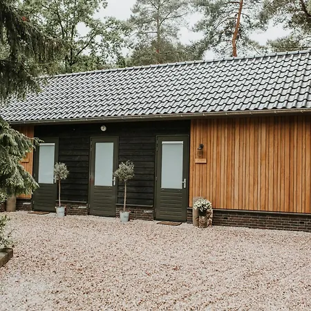 Forrest Tatil Evi