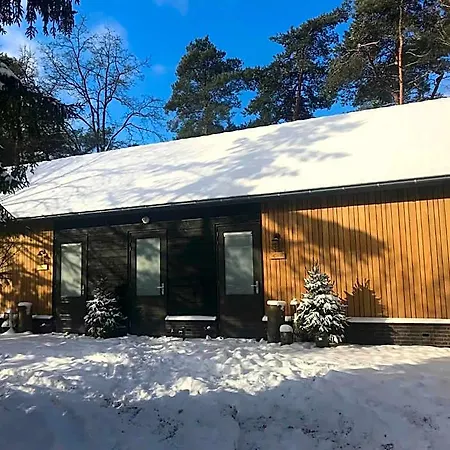 Forrest Ermelo